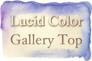 Lucid Color Gallery Top