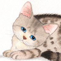 20120906kb.jpg