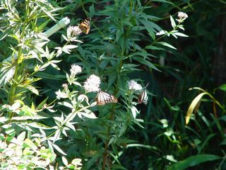 20141004-1.jpg