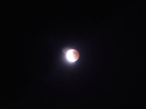 20141008-4.jpg