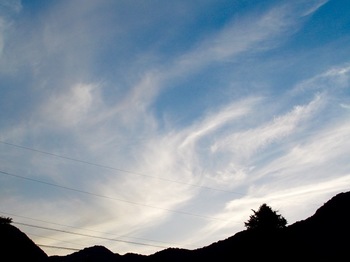 DSC03745.jpg