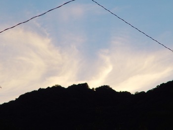 DSC03758.jpg
