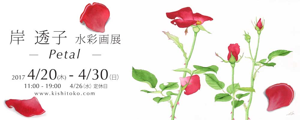 個展のお知らせ2017.04　ギャラリーナカノにて