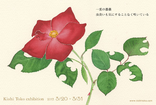 Ŵm点2013.03.20`03.31@M[iJmɂ